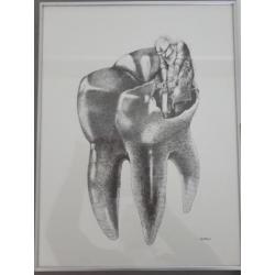 Tandheelkundige prenten tandarts / tandheelkunde