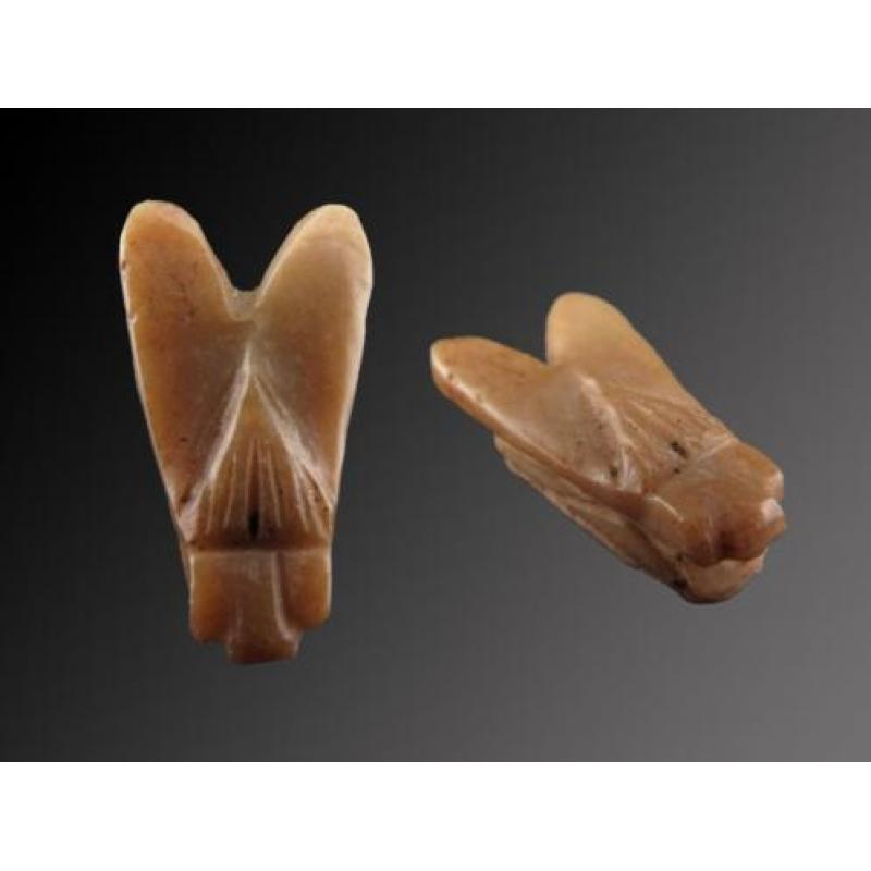 Egyptian crystal fly amulet