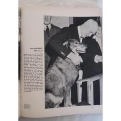 Aanzien - vijf jaar wereldnieuws in beeld 1950-1954