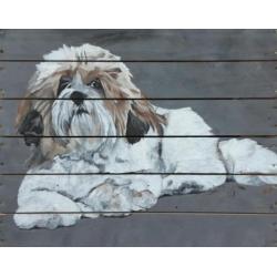 Hond op hout handgeschilderd