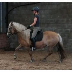 D-pony's goed bereden en braaf