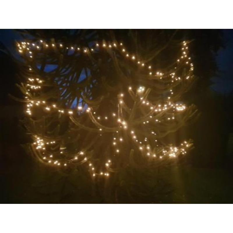 Kerstverlichting Lightsnoer 10m 12 stuks