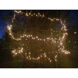 Kerstverlichting Lightsnoer 10m 12 stuks