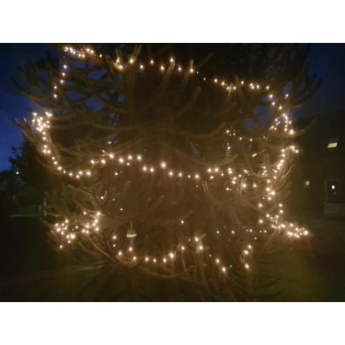Kerstverlichting Lightsnoer 10m 12 stuks