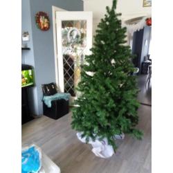 kerstboom