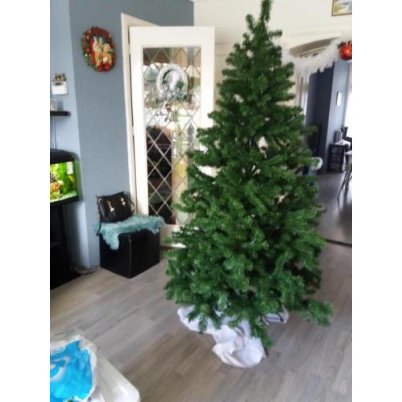 kerstboom