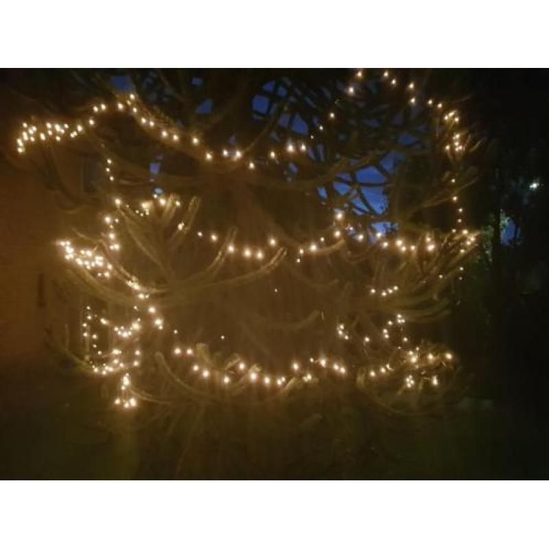 Kerstverlichting Lightsnoer 10m 12 stuks