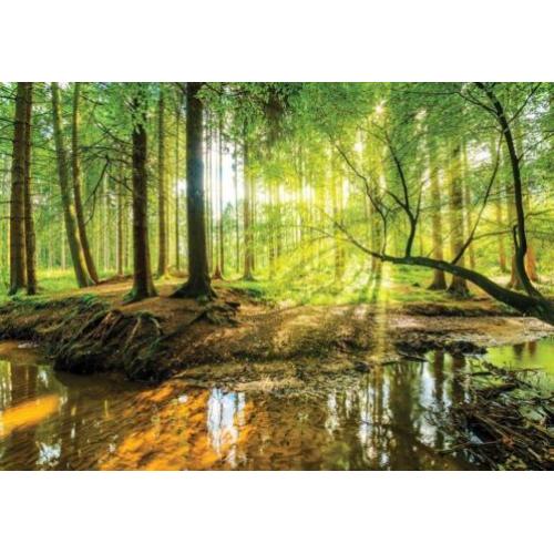 Fotobehang BOS ZON WATER Gratis Lijm en verzenden 110513